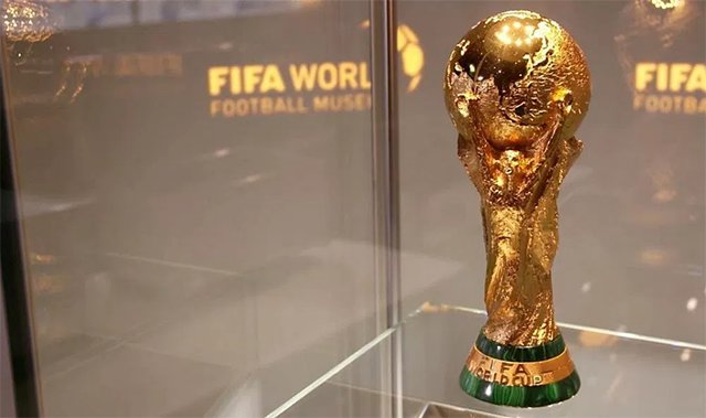 Кубок Чемпионата мира по футболу FIFA прибыл в Ярославль
